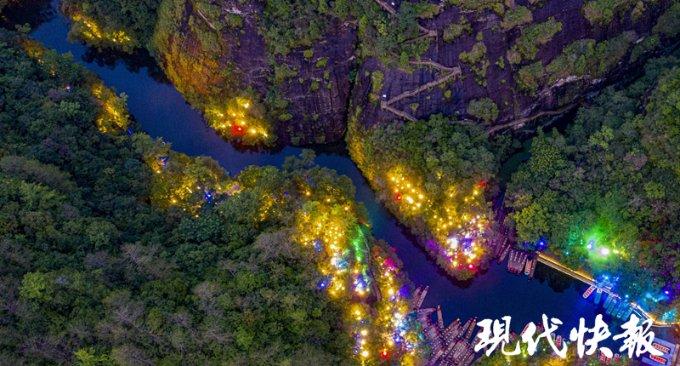 拯救树精灵