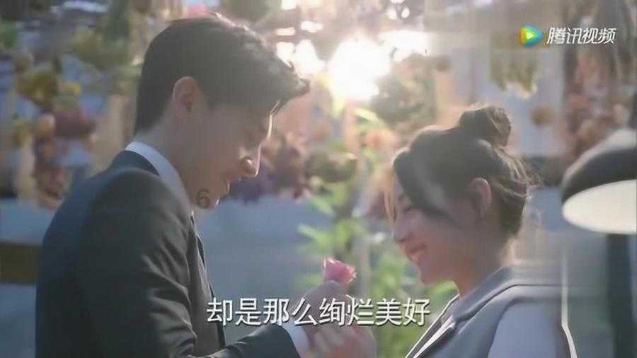 “大美青海”商标成功续展