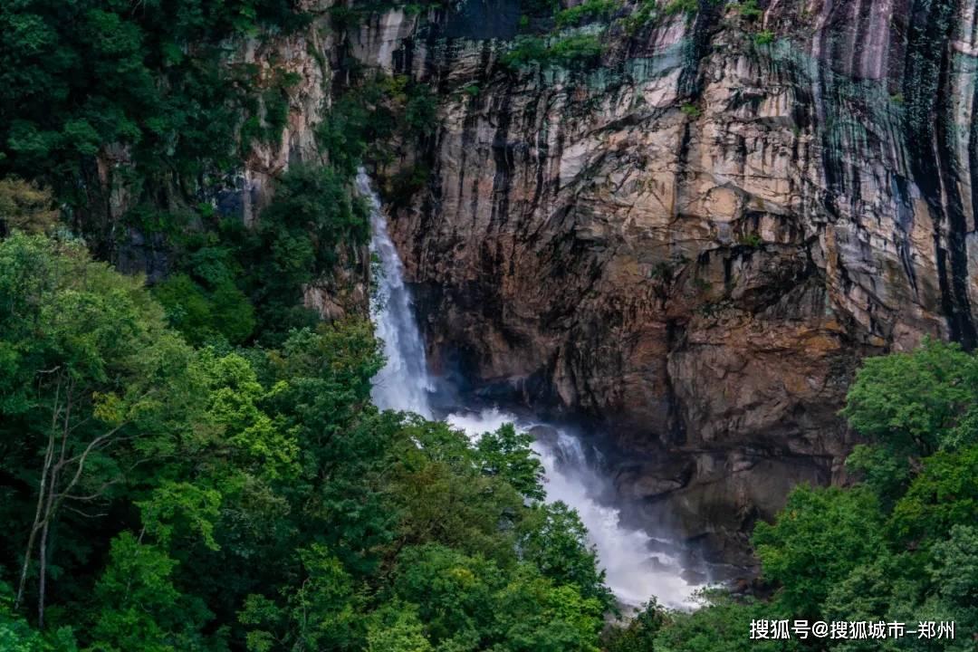美妙森林找不同